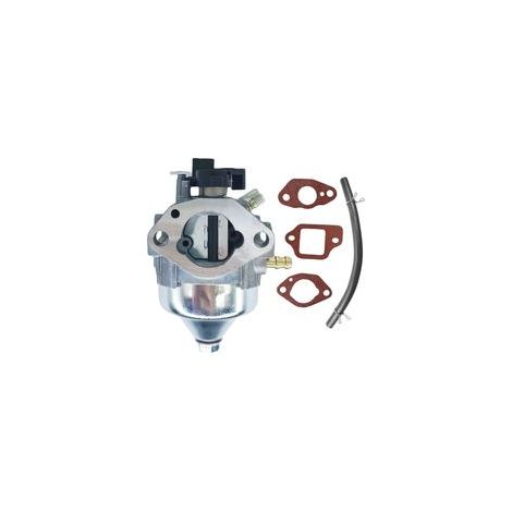 Kit Carburateur 16100-Z9L-811 pour Honda GCV170LA, HRN216, HRX217 – Avec Joints, Tuyau (1/5)