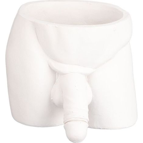 Pot de Fleurs Décoratif pour Plantes d'Intérieur et Succulentes - Idée Cadeau Original (1/5)