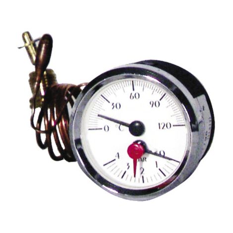 Thermomanomètre 0 à 120°C - 0 à 6b - DIFF