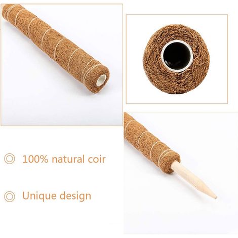 Tuteur en fibre de coco, support pour plantes en coque de noix de coco, base pointue robuste, totem en fibre de coco (1/5)