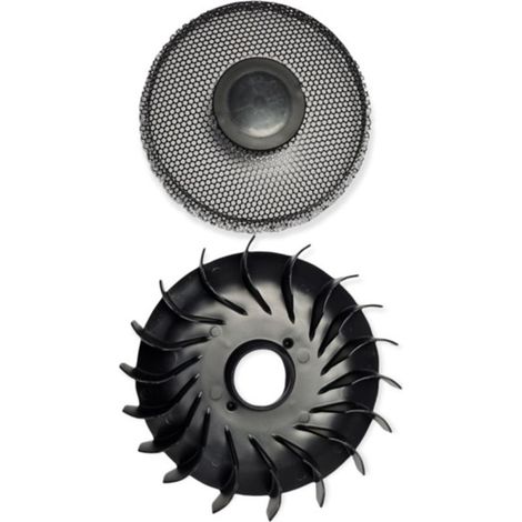 Ventilateur de volant pour Briggs & Stratton 796201, 698941, 796083 (1/3)