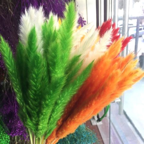 Kleine getrocknete Schilfrohre (Phragmites), natürliche Trockenblumendekoration, Foto-Requisiten für Hotelhochzeiten. (1/5)