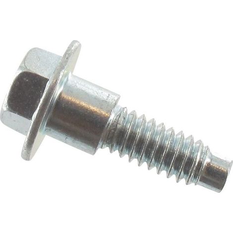 Vis BRIGGS ET STRATTON 799370