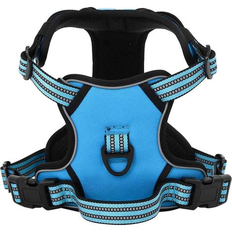 Harnais pour chien avec laisse et collier réglables bleu XL (1/5)