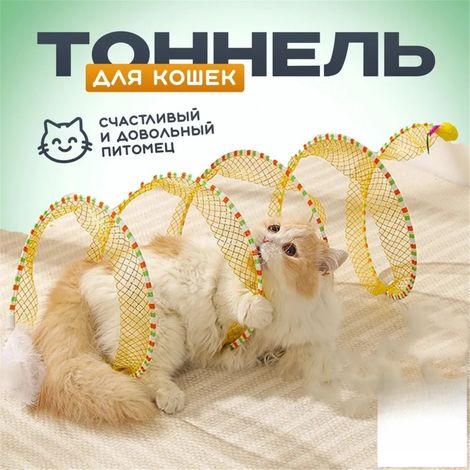 Dieser zusammenklappbare Katzentunnel kann zum einfachen Waschen auf- und abgebaut werden.