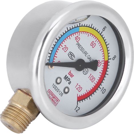 Öltauchfähig, passend für Pumpen des Typs 30/40/60, G1/4-Manometer, DN8, Landwirtschaftsbedarf (1/5)