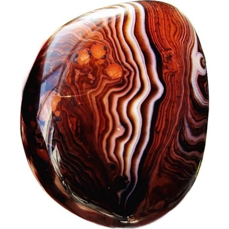 Pierre Naturelle Sardonyx Agate Pierres de Palmier Jouets Petites Pierres et Cristaux Cristaux Collections de la Maison (1/5)