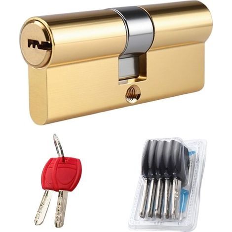 60MM (30/30) Cylindre de Serrure Antivol en Cuivre Haute Sécurité, Barillet Porte d'Entrée avec 5 Clés, Nickel Satiné Cylindre Serrure, Anti-Crochetage, Anti-Perçage, Anti-Choc (1/5)