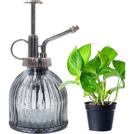 Vaporisateur pour plantes, flacon pulvérisateur en verre, vaporisateur d'eau pour fleurs, bocal, vaporisateur vintage avec pompe, verre décoratif (gris) (1/5)