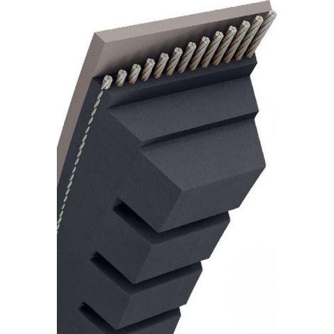 Courroie tondeuse BX95 trapézoïdale crantée  17 x 2480 mm