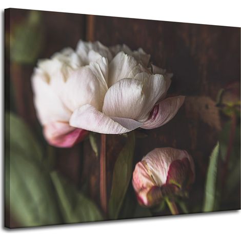 Lienzo impreso Botánica Flor Peonías 100x80 cm Ramo de flores Flora