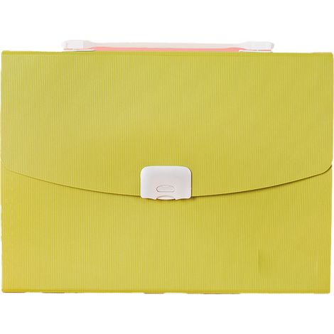 Dossier Accordéon - 13 Pochettes - Format Lettre - Poignée Intégrée - Fermoir à Boucle - Plastique Résistant (1/5)