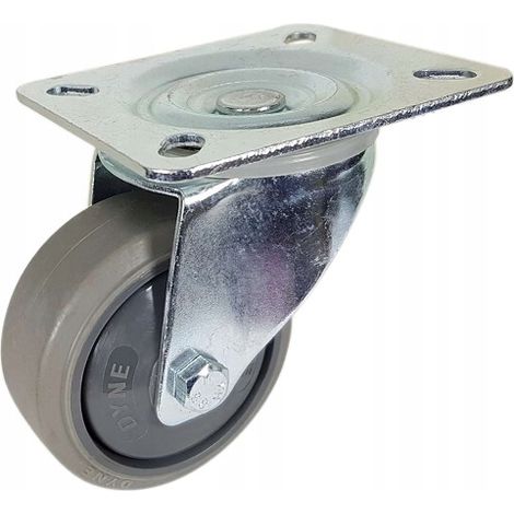 Roulette pivotante de 100 mm, capacité de charge 100 kg (1/5)