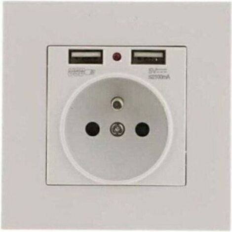 Lot de 2 Prises Murales, Prise Electrique Murale avec Double USB 5V/2100mA, Prise Encastrable avec 2 (1/4)