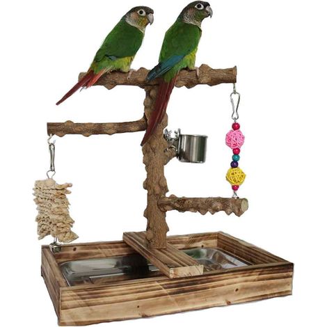 Stand Pour Oiseaux - 35,6 × 26 × 34 cm - Station Complète Alimentation Entraînement Jeu Avec Tapis Robuste (1/5)