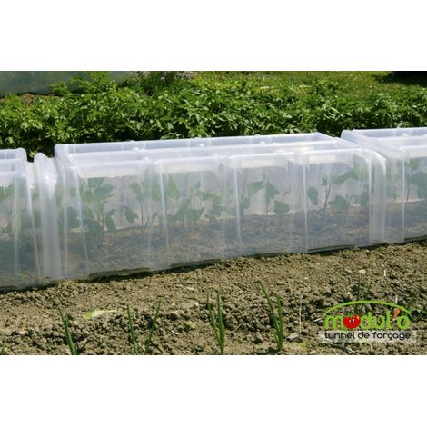 Tunnel de forçage 105x39x30cm – Bac intégré pour récupération d'eau – Compatible avec divers types de cultures – Installation facile – Mv Industrie