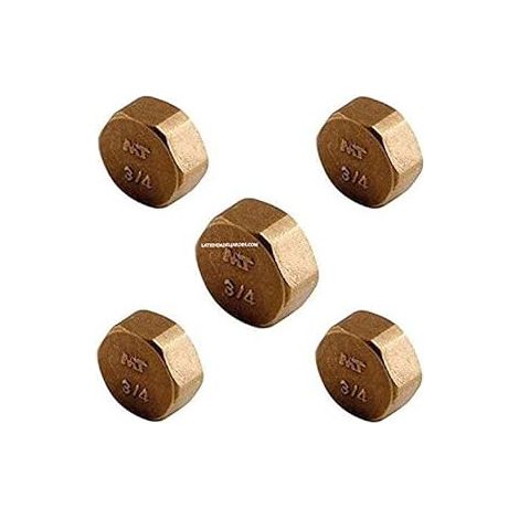 5 Stück Messing-Stecker weiblich 3/4''  Aenor Messing-Accessoire  3/4'' Messingstopfen mit Innengewinde
