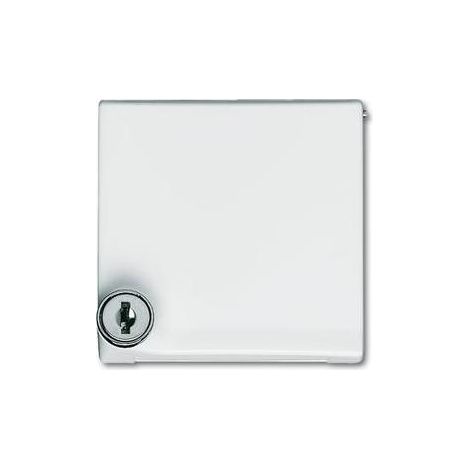 Busch-Jaeger Zwischenring aws mit Klappdeckel 2118 GKSL-34 (1/5)