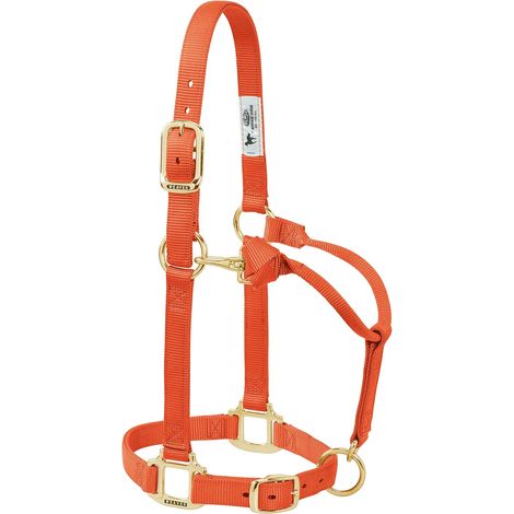 1 Licol Cheval Nylon Réglable 2,5cm Laiton Triple Épaisseur Équitation (1/2)