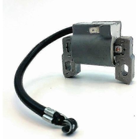 Bobine d'allumage Briggs & Stratton 796500, kit haute tension Briggs & Stratton (1/2)