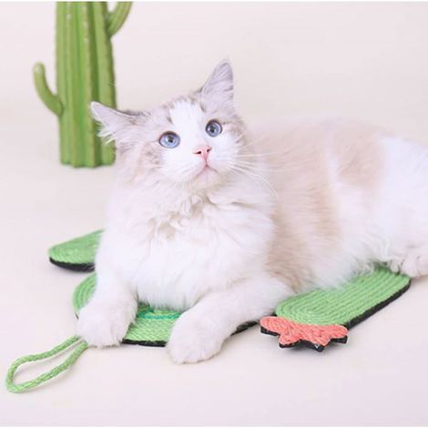 Griffoir Mural Cactus - 44 x 30 cm - En Sisal Naturel et EVA - Pour Chats et Chatons - 1 Pièce (1/5)