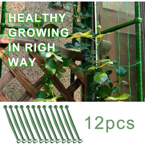 12 supports pour plantes grimpantes, supports pour vignes, piliers de jardinage (1/5)