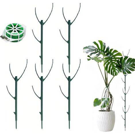 Set da 5 supporti verdi per piante ornamentali, supporti impilabili per piante rampicanti in vaso, interni ed esterni