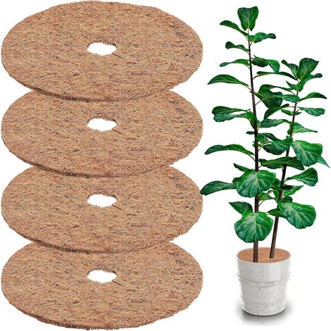 Coir Mat Set of 4 30 cm Winter Protection Plant Protection Plant Protection Winter Protection for Plants Winter Protection Frost Protection (1/5)