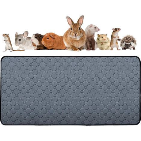 Tapis absorbants pour animaux de compagnie, dimensions 60x120cm, imperméables, antidérapants, lavables, adaptés aux sols, canapés et voitures, et réutilisables. (1/4)