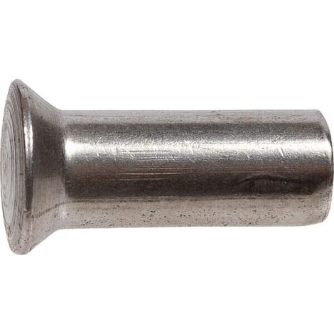 Remache AGRIA AGW60343
