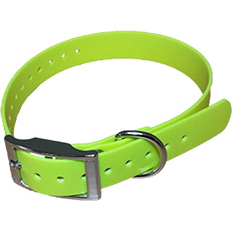 Collier pour chien