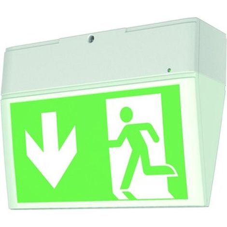 Ceag Notlichtsysteme Einzelbatterie-Leuchte LED 3h IP54 EURO X (1/5)