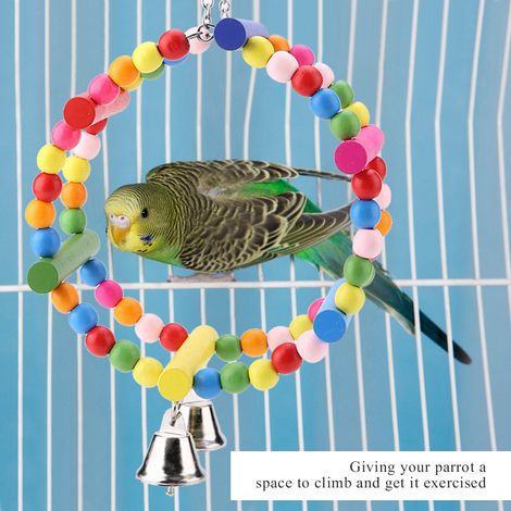 Balançoire en bois à suspendre, jouet pour perroquet et oiseaux (1/5)