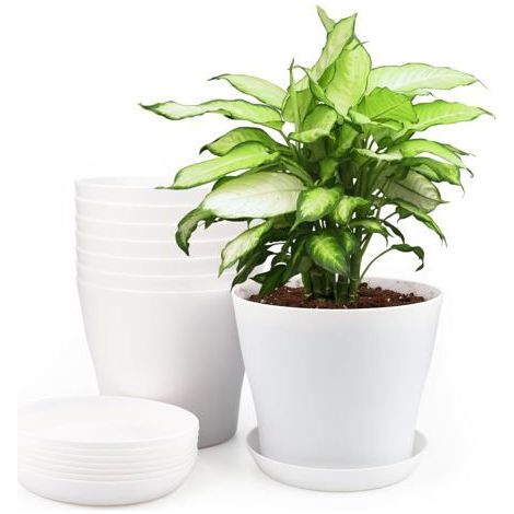 Ecleanfy - Lot de 8 pots de fleurs plastique blancs Ø14 cm avec soucoupes et trous de drainage - int./ext. (1/5)