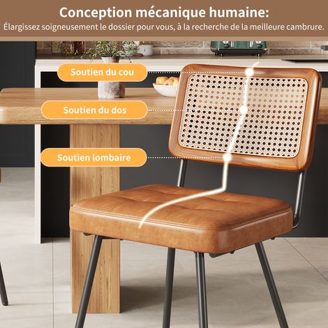 Chaise en PU lot de 2 style rotin rétro marron (1/5)
