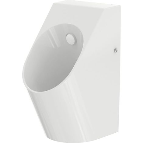 TOTO Urinal, Zulauf hinten, randlos, 306x400x590mm, UWN926EBS (1/4)