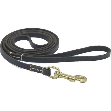 Laisse en cuir pour l'éducation canine, idéale pour dresser votre chien ou pour travailler l'obéissance générale dans votre jardin. (1/5)