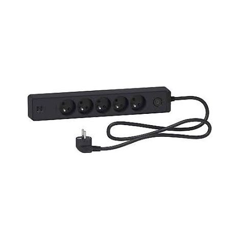 Schneider Electric – Bloc multiprise 5 prises 2P+T et 2 ports USB 2,4A – Câble 1,5m – Interrupteur lumineux avec témoin adaptatif – Polypropylène anthracite