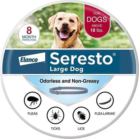 Pet Flea and Tick Treatment and Prevention Collar, 8 Months Protection (1/5)