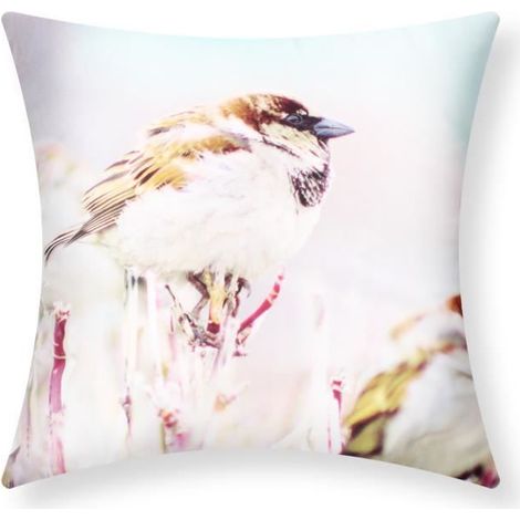 Housses de Coussin - AVIZAR - Lot de 2 - 40x40 cm - Motif Oiseau - Multicolore (1/5)
