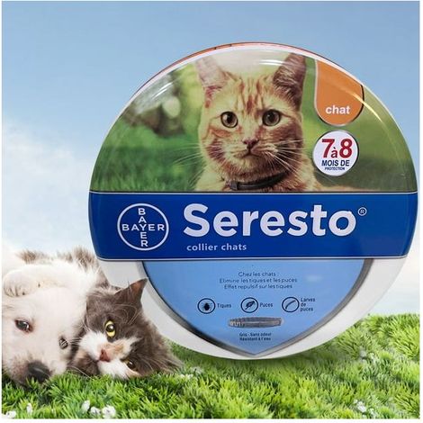 Collier antiparasitaire réglable pour chiots, chats et grands chiens (38 cm) - Protection puces et tiques, traitement longue durée, collier anti-puces pour animaux. (1/5)