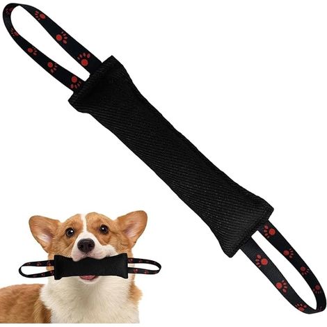 Saucisse à Mordre pour Chien, 30 cm, Jouet, avec dragonne, pour l'entraînement, Le tir à la Corde et Le Plaisir du Chien, Orange (1/5)