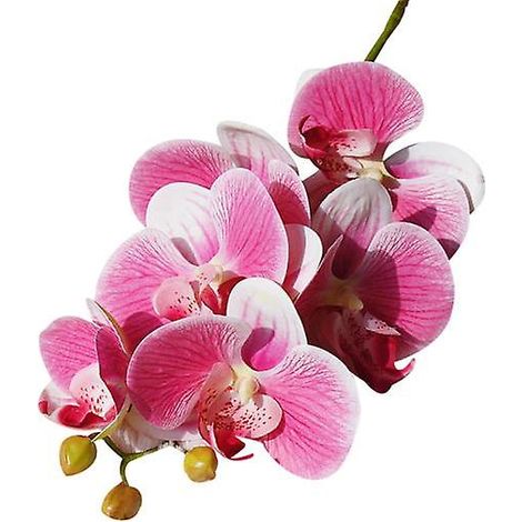 fleur artificielle papillon orchidée flexible pour jardin, décoration DIY fête mariagerose foncé (1/5)
