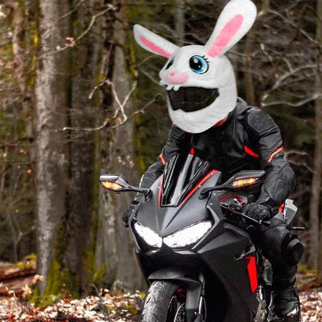 (Exclusivité Asie du Sud-Est) Nouvelle housse de casque de moto en peluche, chaude et protectrice, protection de casque innovante avec motif lapin aux longues oreilles, blanc cassé (1/5)