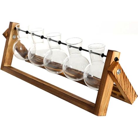 Terrarium mural pour plantes avec support en bois (1/5)