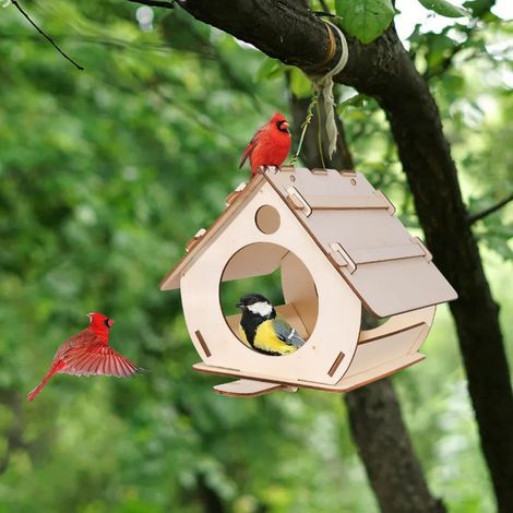 Niche à oiseaux en bois à assembler soi-même — Cachette en bois naturel pour petits animaux (Conçue pour les cages) (1/4)