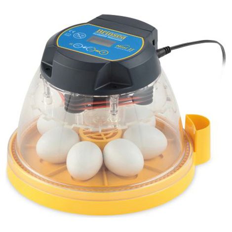 Incubadora 7 Huevos BRINSEA Mini II Advance. Incubadora automática, Digital con volteo automático