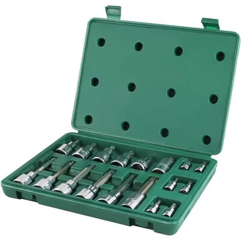 1/4" & 1/2" Torx-Bitsteckschlüssel Satz, 18-tlg, T10-T60 (1/3)