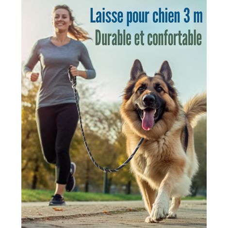 Laisse multifonction pour chien 3 mètres - Réglable et réfléchissante pour la sécurité et le confort (1/5)