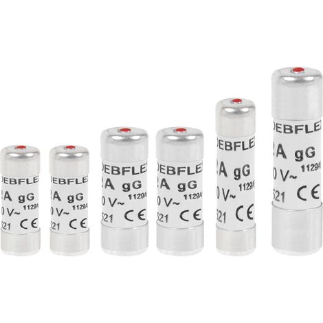 DEBFLEX - SACHET DE 6 FUSIBLES AVEC VOYANT LOT 2X(10A+16A) 1X(20A+32A) - 715007 (1/3)